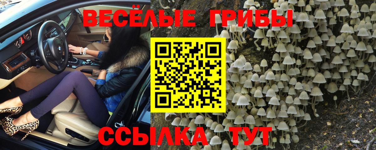 Псилоцибиновые грибы MAGIC MUSHROOMS Шелехов